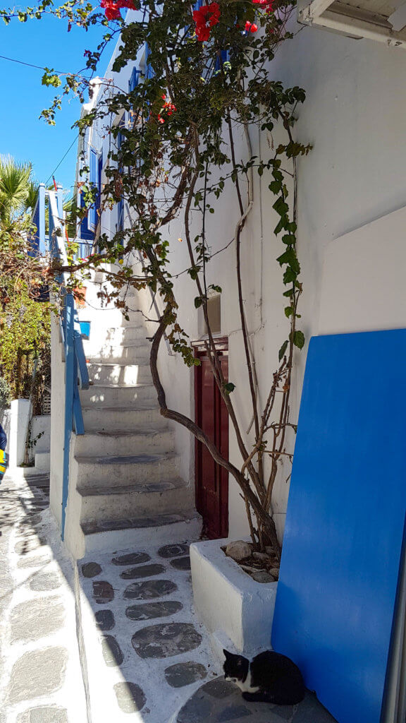 Mykonos, a day in the island of the winds