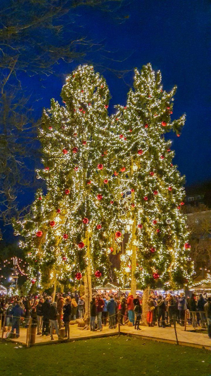 10 Best Christmas Markets In & Around Switzerland in 2024 The Yogi