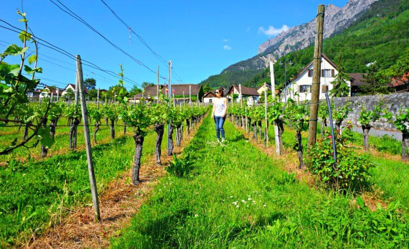 A day trip to Vaduz, Liechtenstein