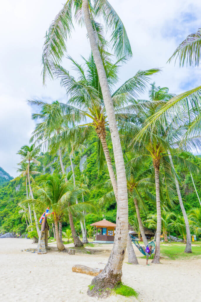 beach at Koh Wua Talap - ang thong marine park tours