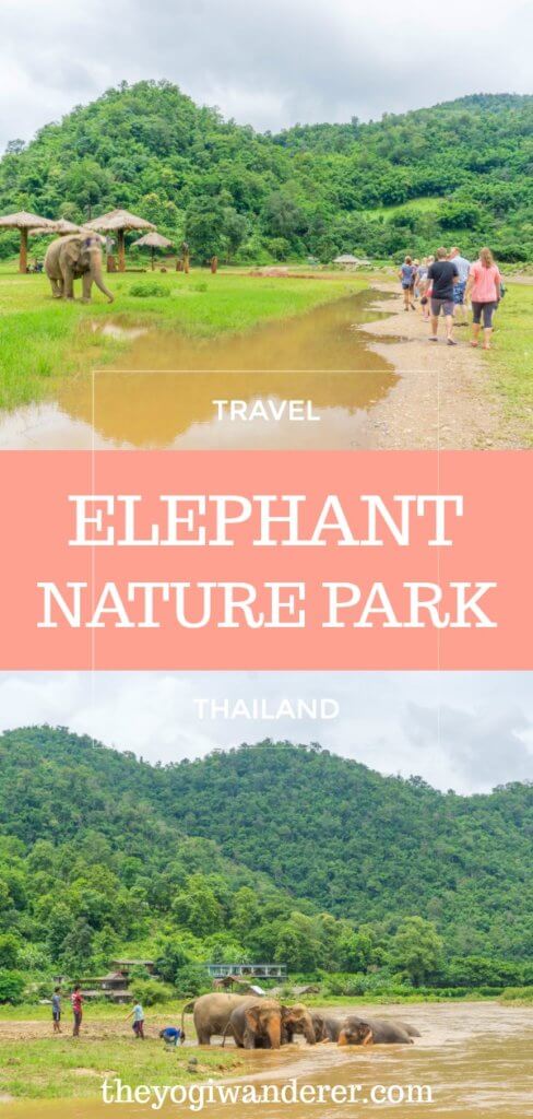 The truth about riding an elephant in Thailand, and an ethical alternative: Elephant Nature Park, in Chiang Mai #Elephants #ElephantSanctuary #ElephantNaturePark #SaveTheElephants #ChiangMai #Thailand #Asia #SoutheastAsia