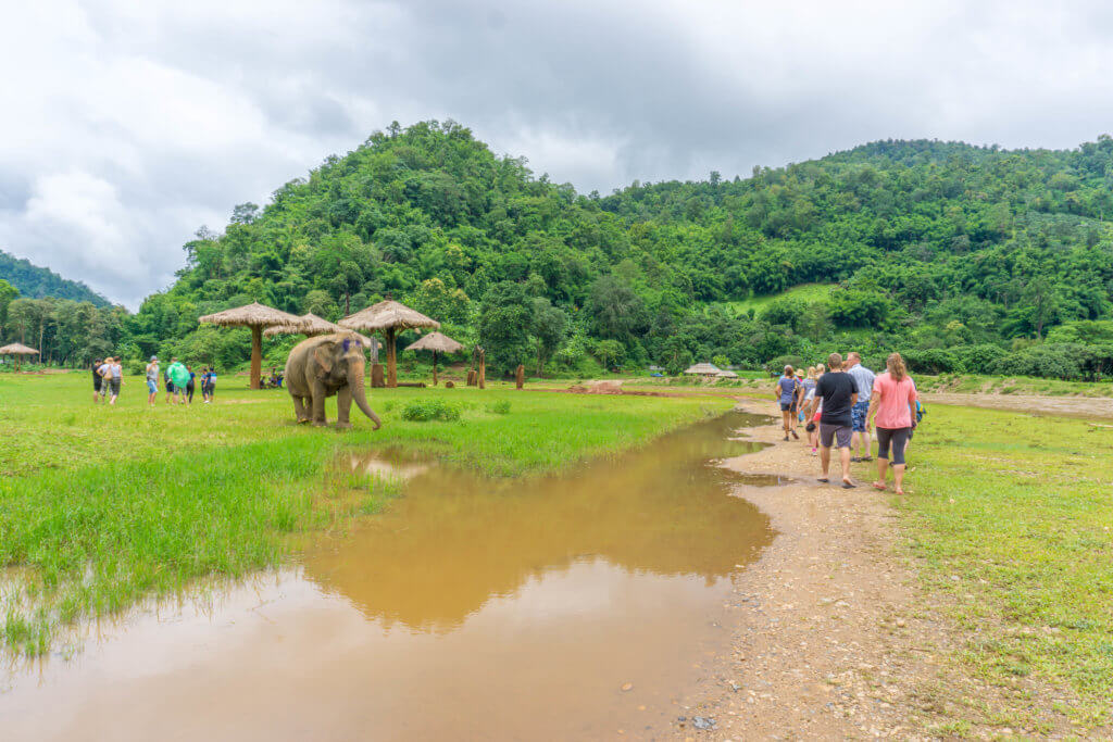 Elephant Nature Park - 4 days in Chiang Mai