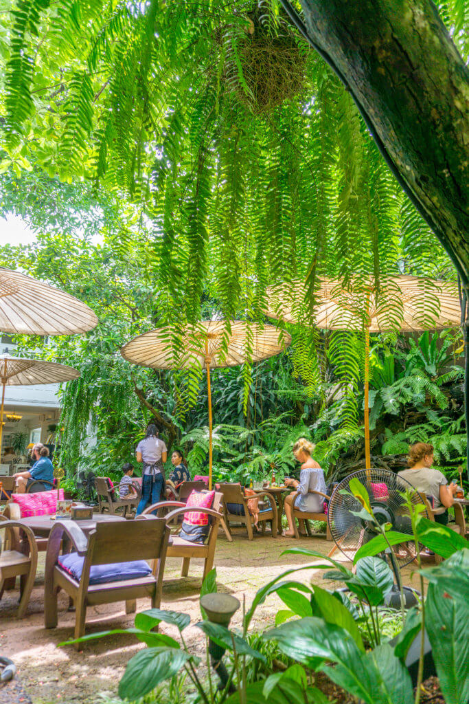 cafe in Chiang Mai - best things to do in Chiang Mai