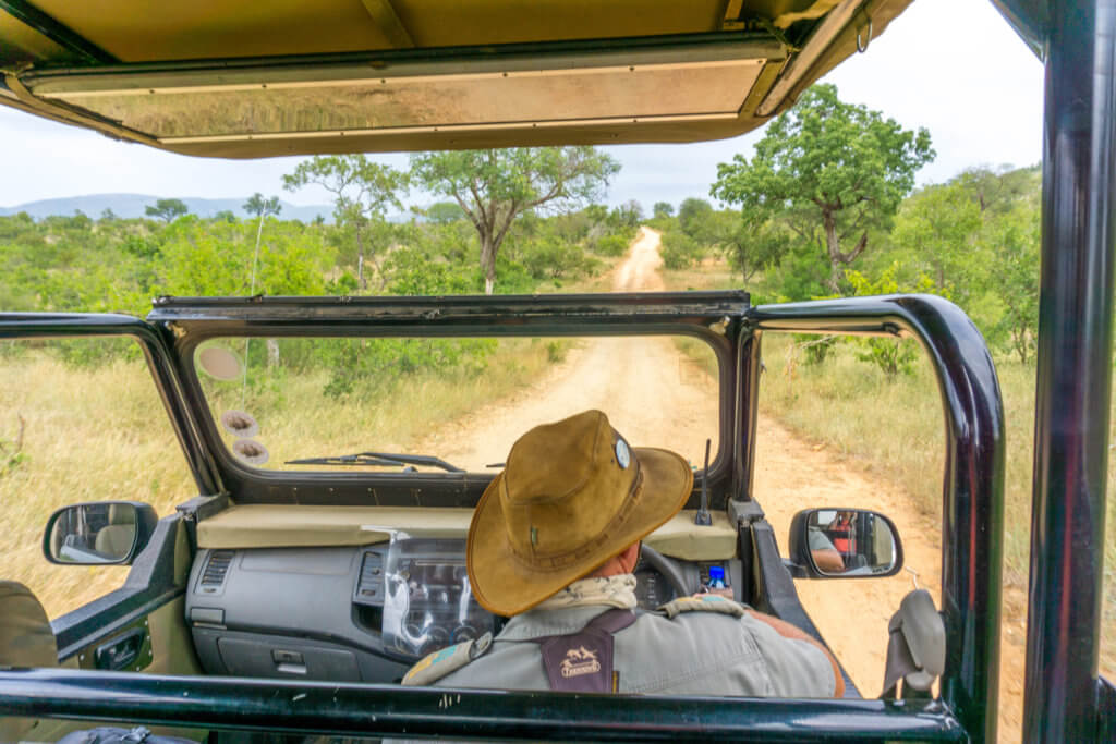Safari at Kruger National Park, South Africa