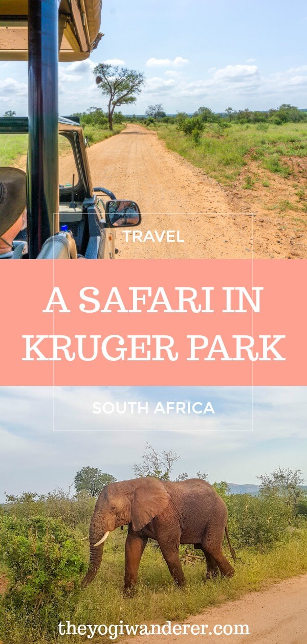 kruger park safari cost