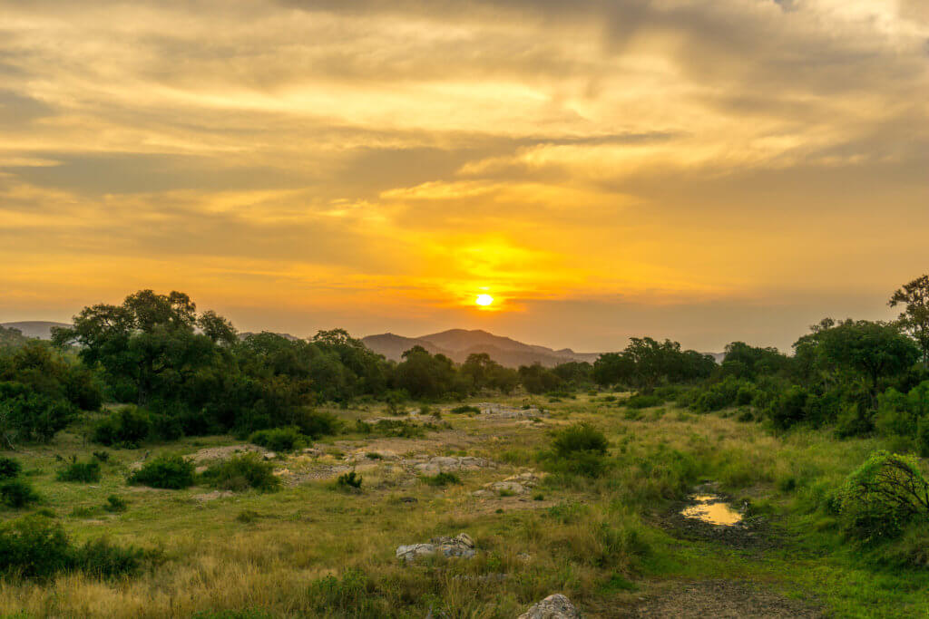 Kruger Park cost