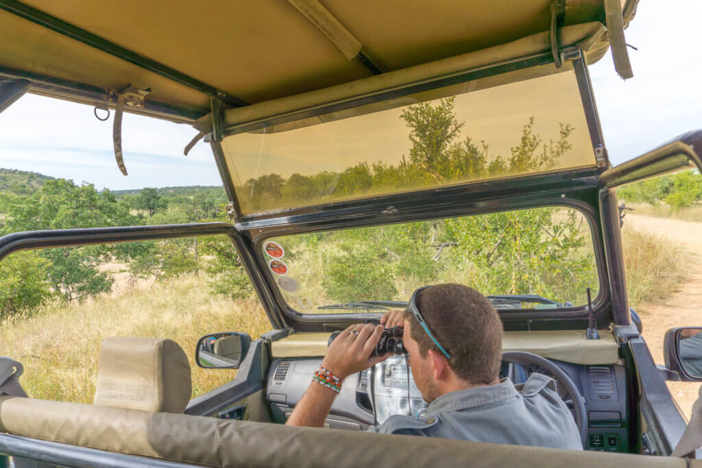 Kruger National Park safari packages - our guide