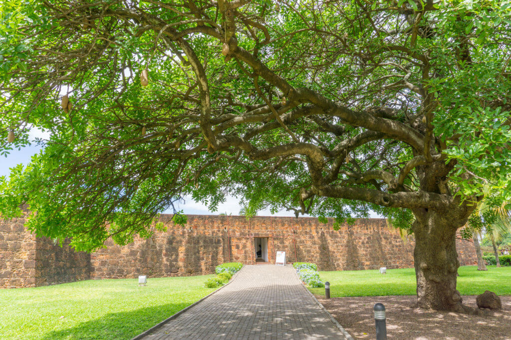 Maputo Fortress - things to do in Maputo, Mozambique