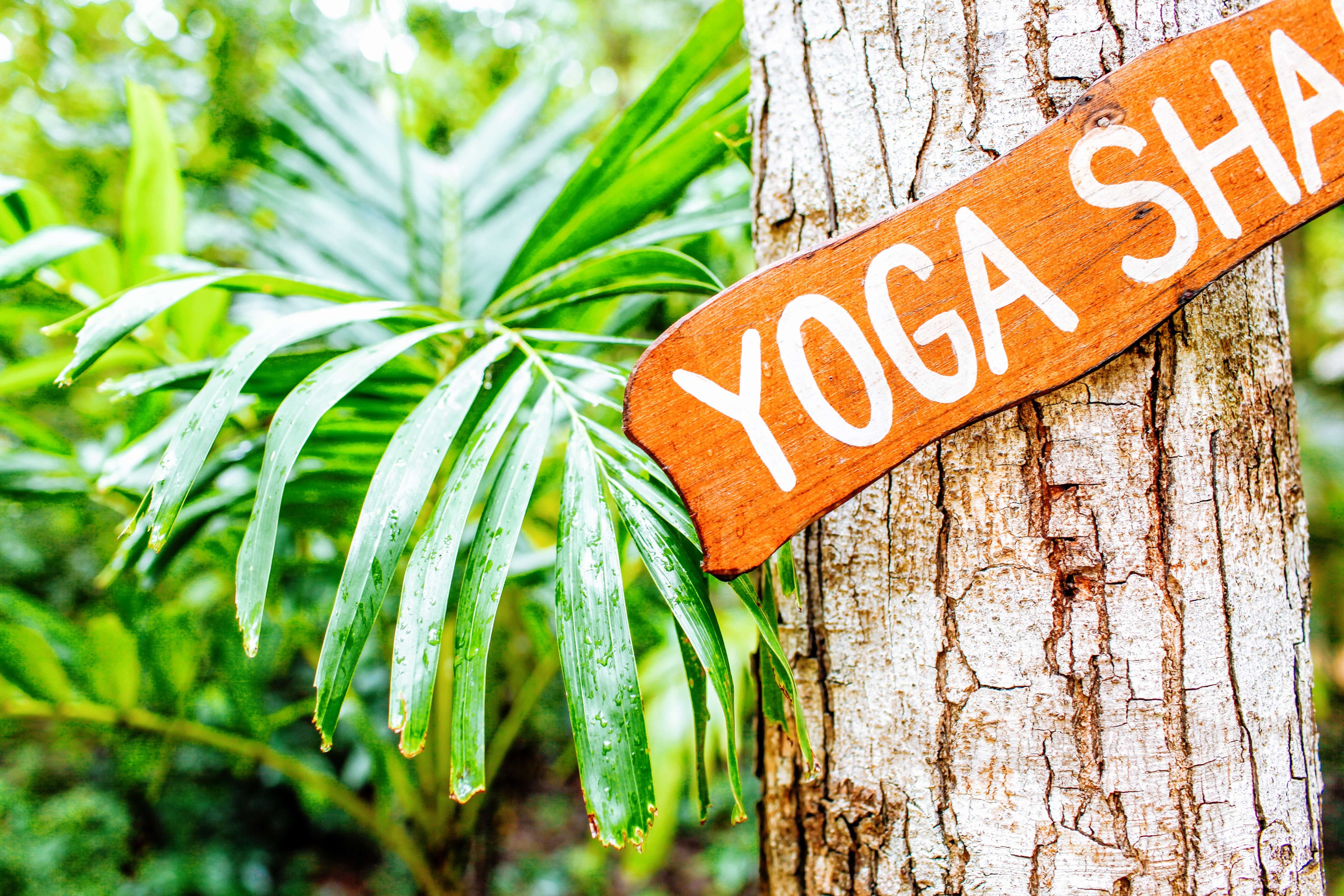 14 Best Yoga Studios Around the World