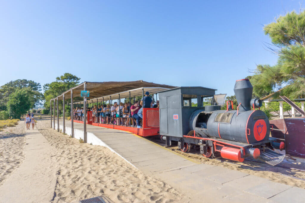 Train to Praia do Barril, Tavira, Algarve