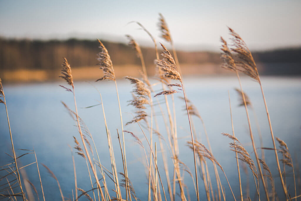 Lake Velence - best day trips from Budapest