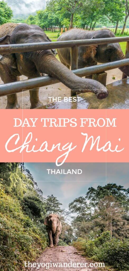 The best day trips from Chiang Mai, Thailand according to travel bloggers. Top destinations, temples and activities, including Doi Suthep temple, Elephant Nature Park, Doi Inthanon National Park, zipline, and much more. #ChiangMai #ChiangMaiDayTrips #Thailand