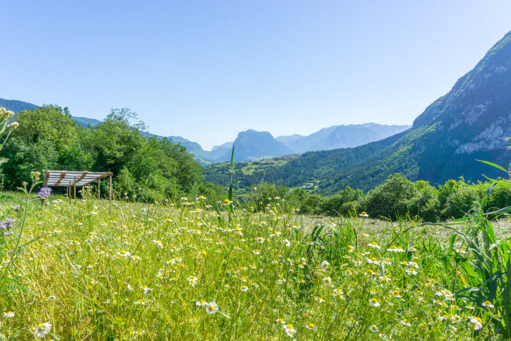 Il Ritorno agricultural farm - Dolomites in summer
