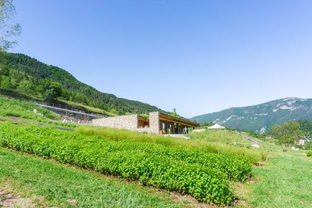 Il Ritorno agricultural farm - things to do in the Dolomites in summer