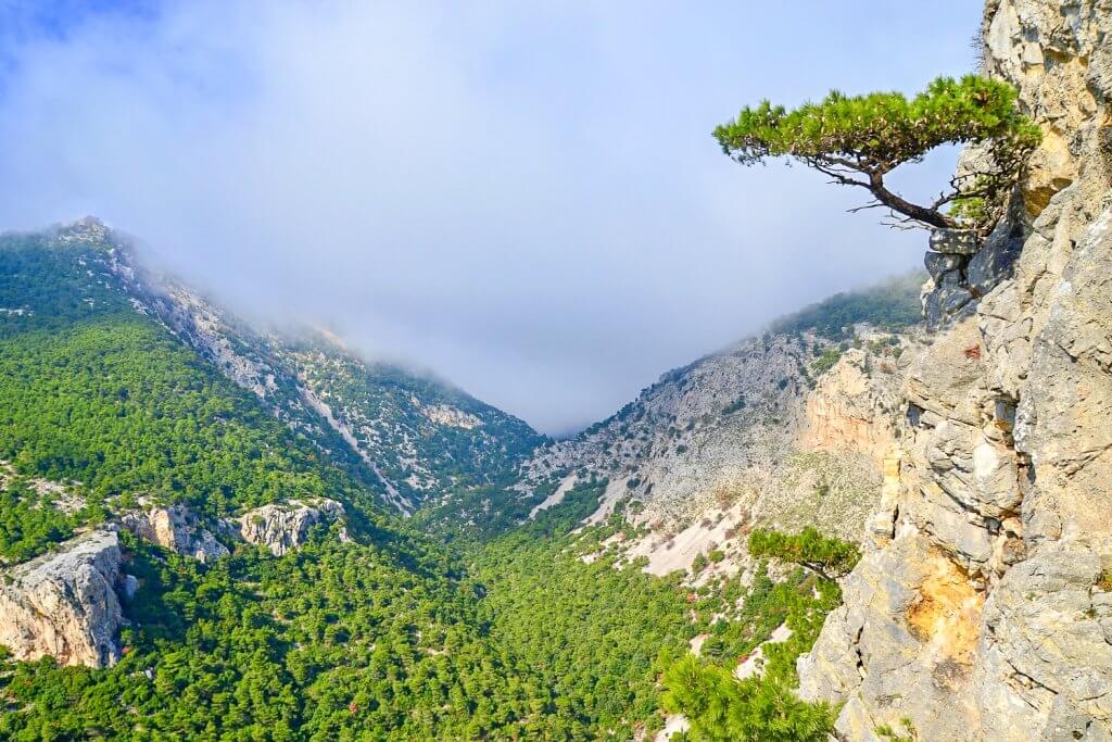 Mount Parnitha National Park - Athens day trip destinations