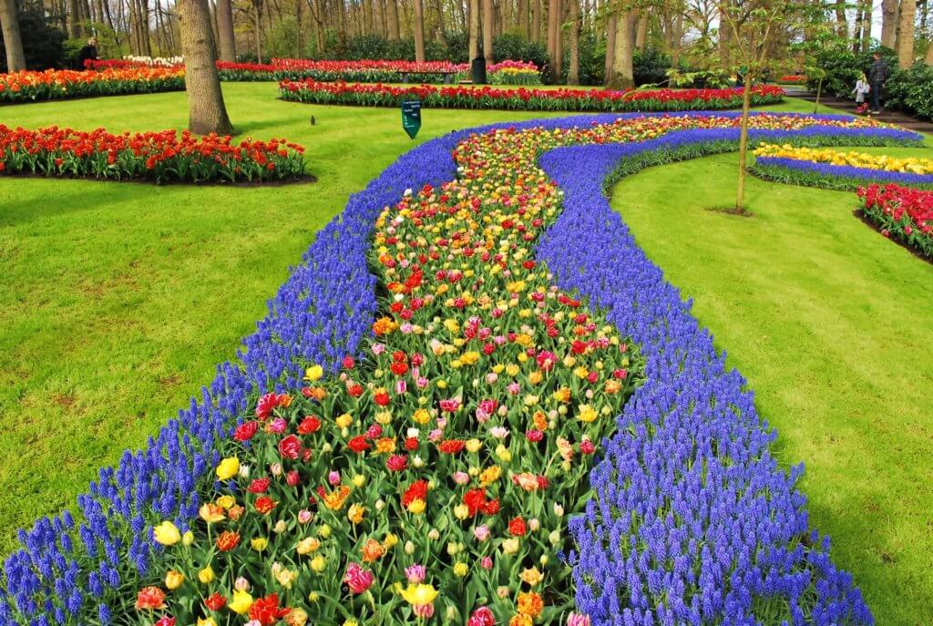 Keukenhof Gardens - day trips from Amsterdam