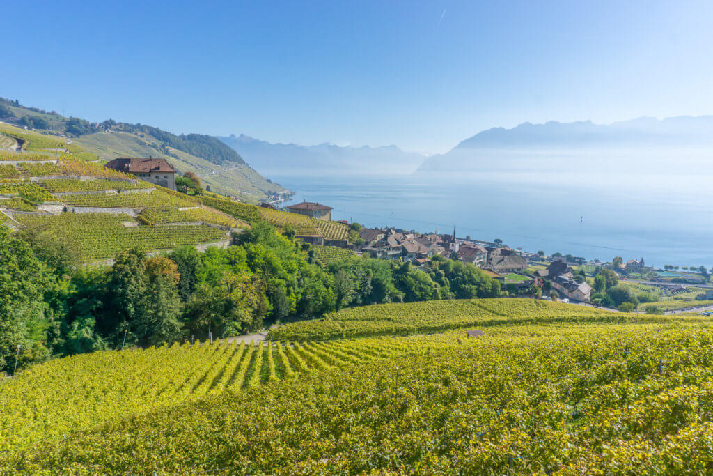 Lavaux Vineyards - best hiking trails in Switzerland