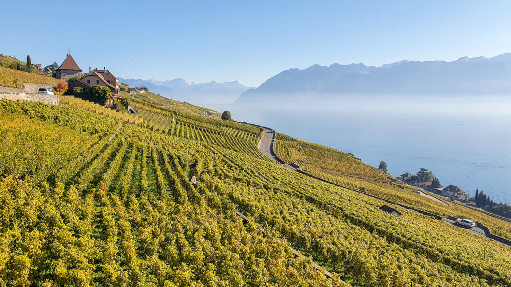 Lavaux Vineyards Hike, Switzerland