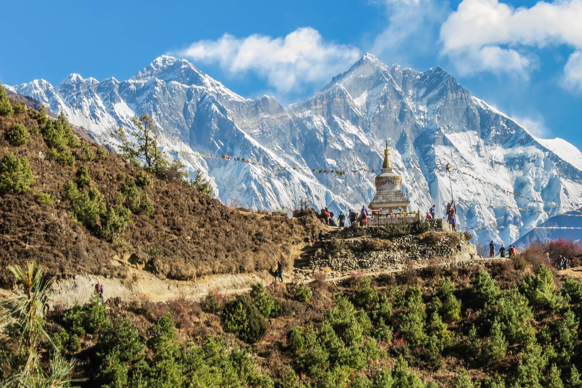 Top 10 Peaceful Yoga Retreats in Nepal (2024) - The Yogi Wanderer