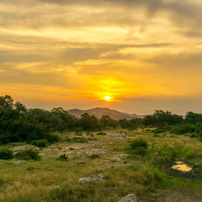 best yoga retreats in South Africa