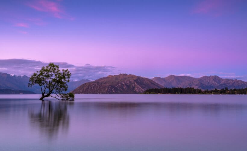 best yoga retreats in New Zealand