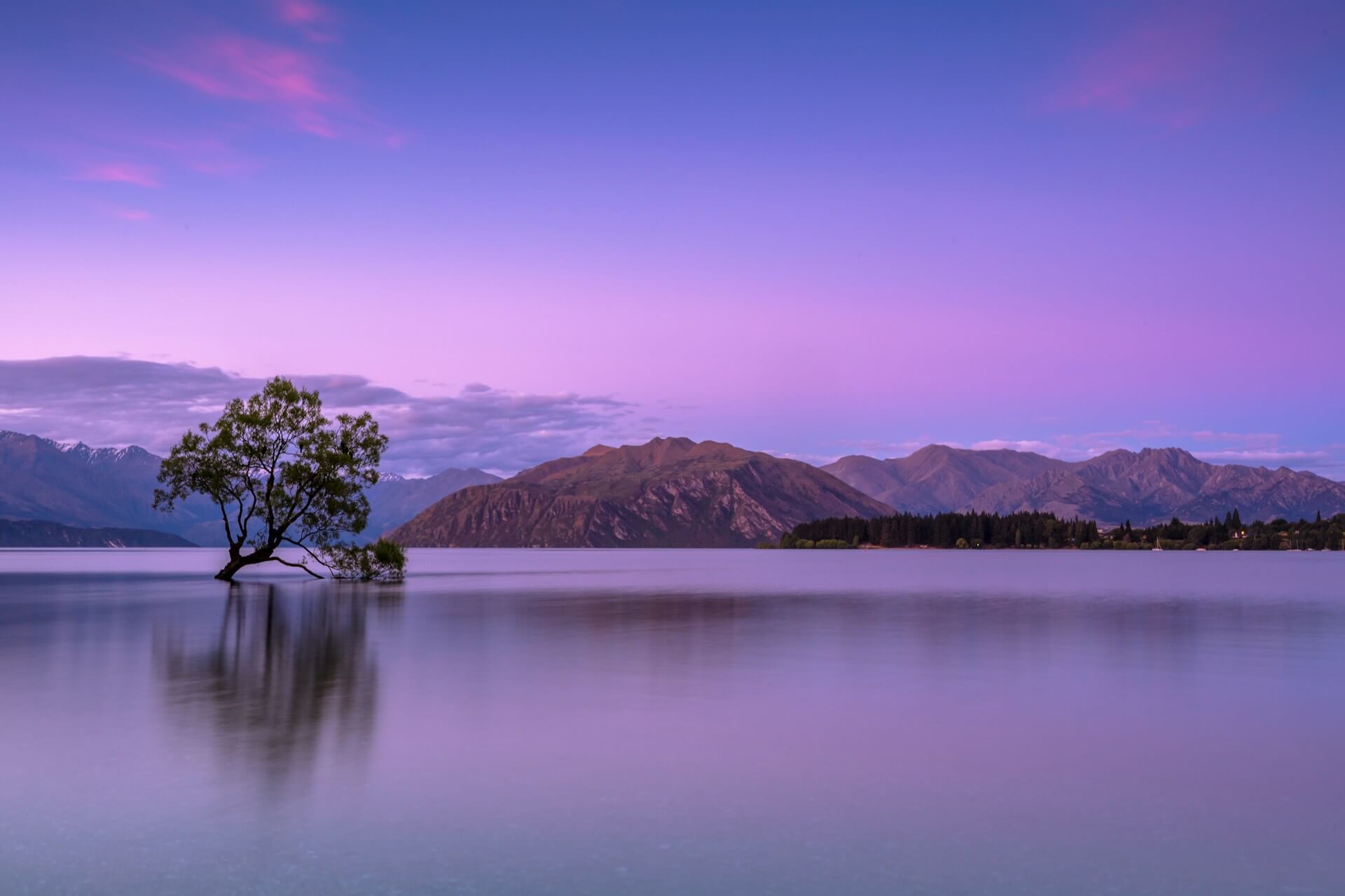 Top 7 Best Yoga Retreats in New Zealand (2025)