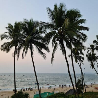 Goa yoga teacher training