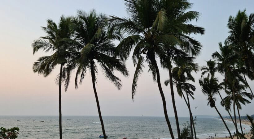 Top 10 Best Yoga Teacher Training in Goa, India (2025)