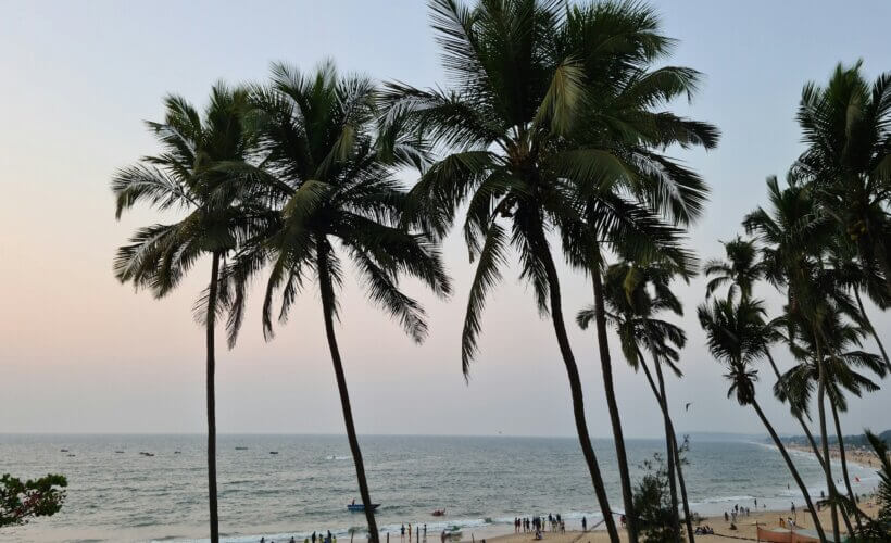 Goa yoga teacher training